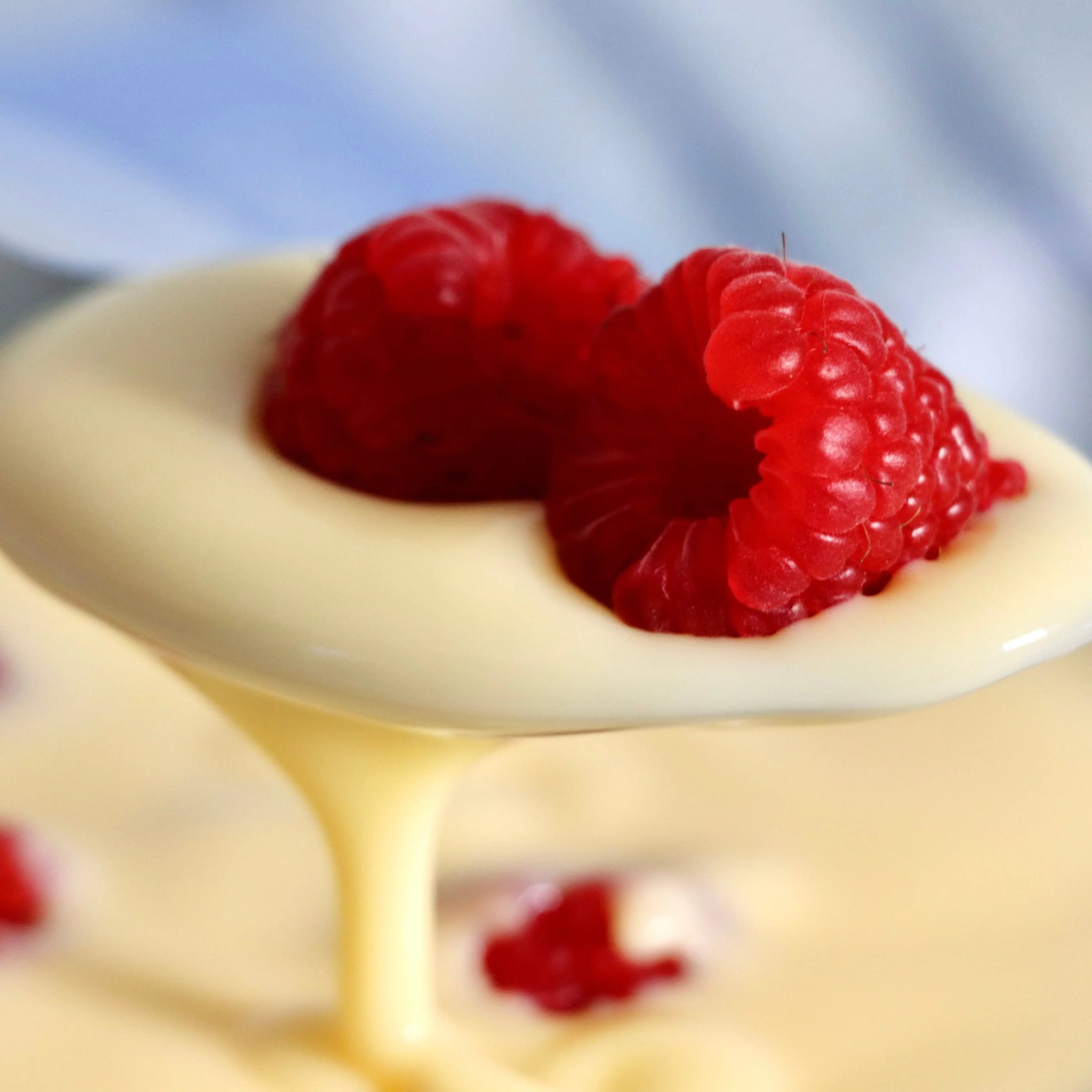 Keto Custard - 300g - Yo Keto