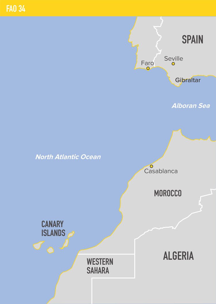 Wild Caught Tuna Fillets in Brine - 120g Can x 10