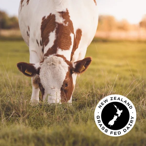 WPI - Vanilla - 1kg - Yo Keto