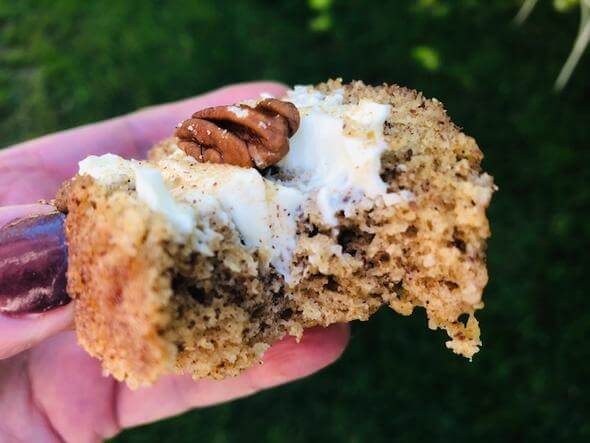 Ginger Spice - Bread In A Mug - Value Pack - Yo Keto