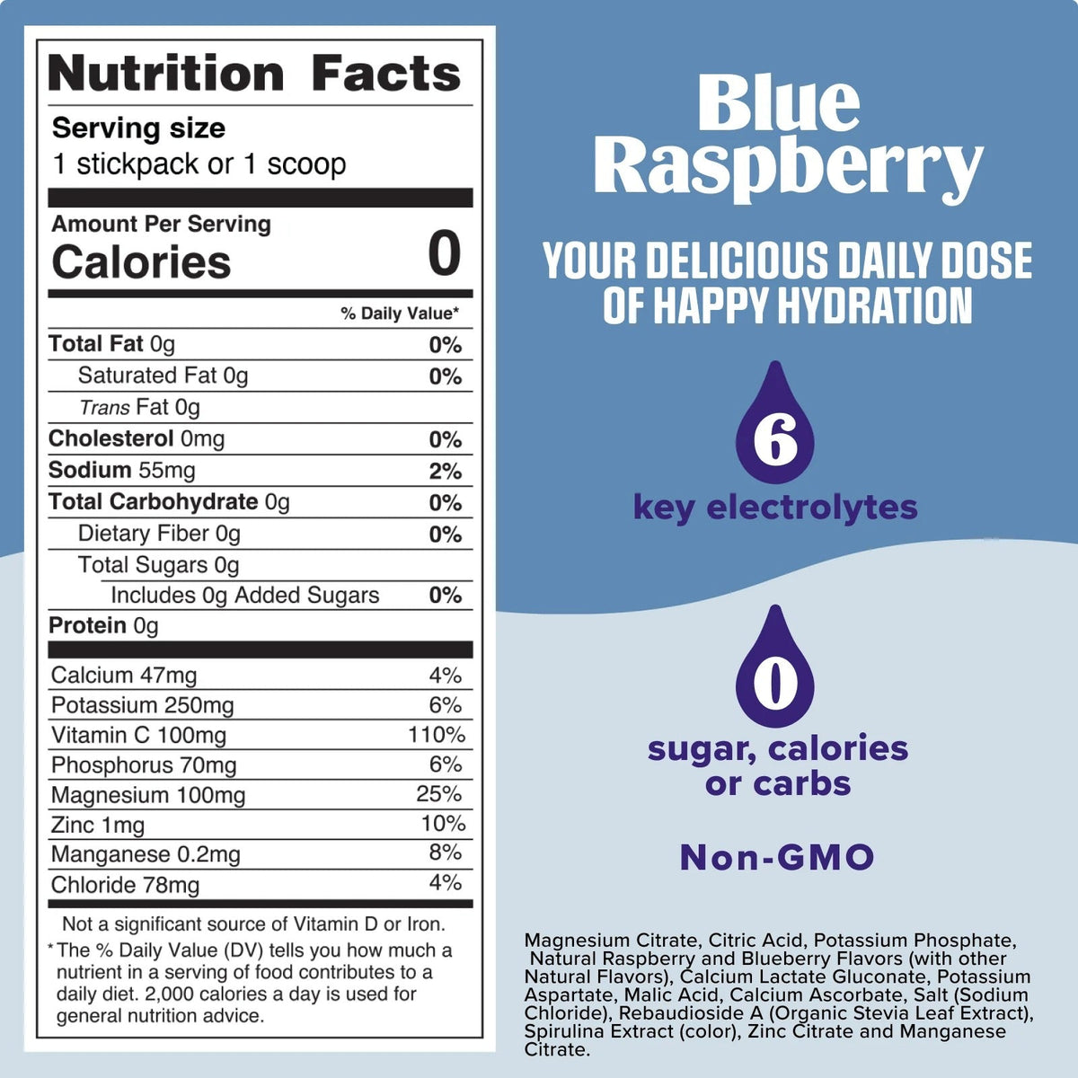 Blue Raspberry Electrolyte Powder - 90 Serves