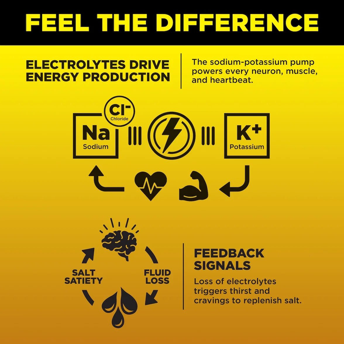 Diagram explaining electrolytes sodium, potassium, and chloride drive energy in Lemonade + Iced Tea - 30 Sticks - Damaged Box by LMNT.