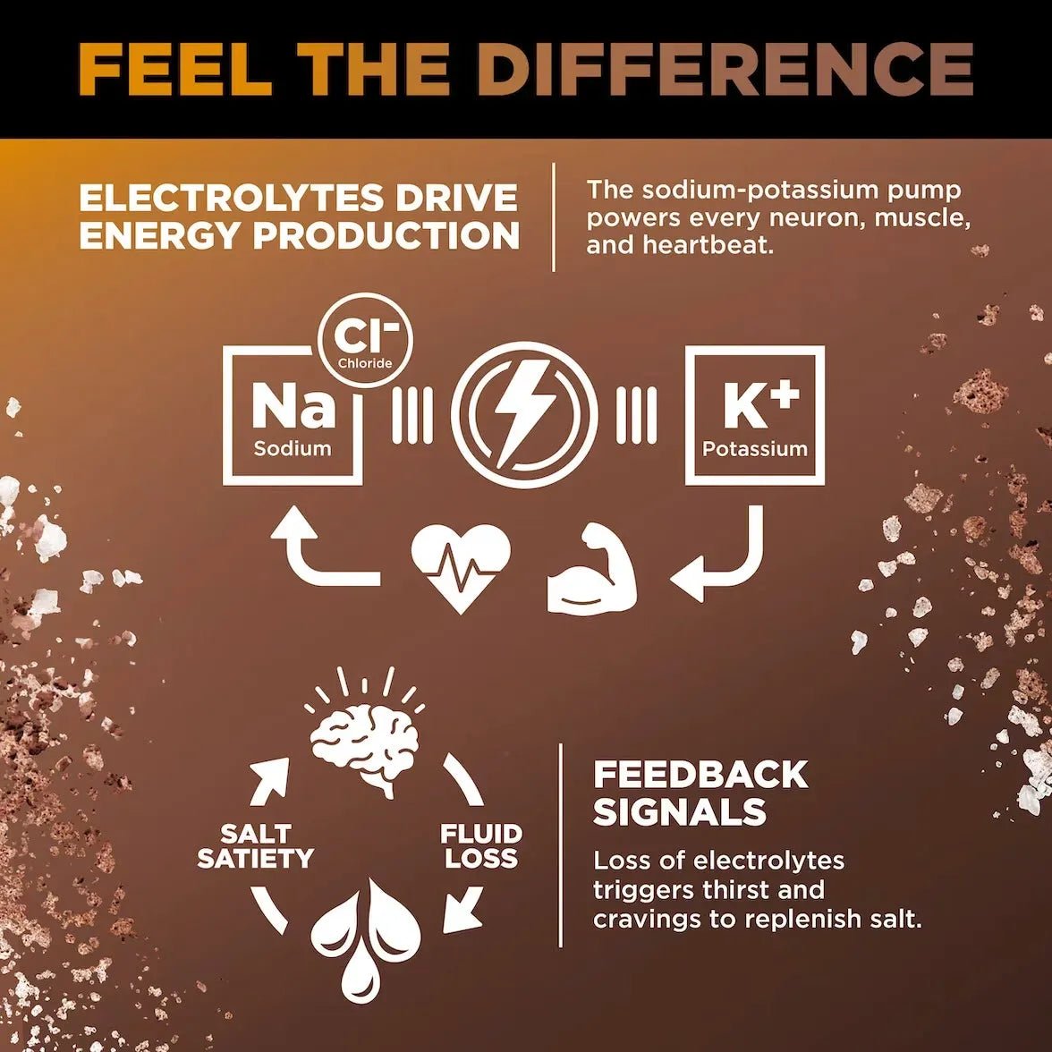 Infographic explaining how electrolytes sodium, potassium, and chloride support energy production, muscle function, and thirst signals for LMNT Chocolate Caramel Electrolyte Mix - 30 Sticks by LMNT.