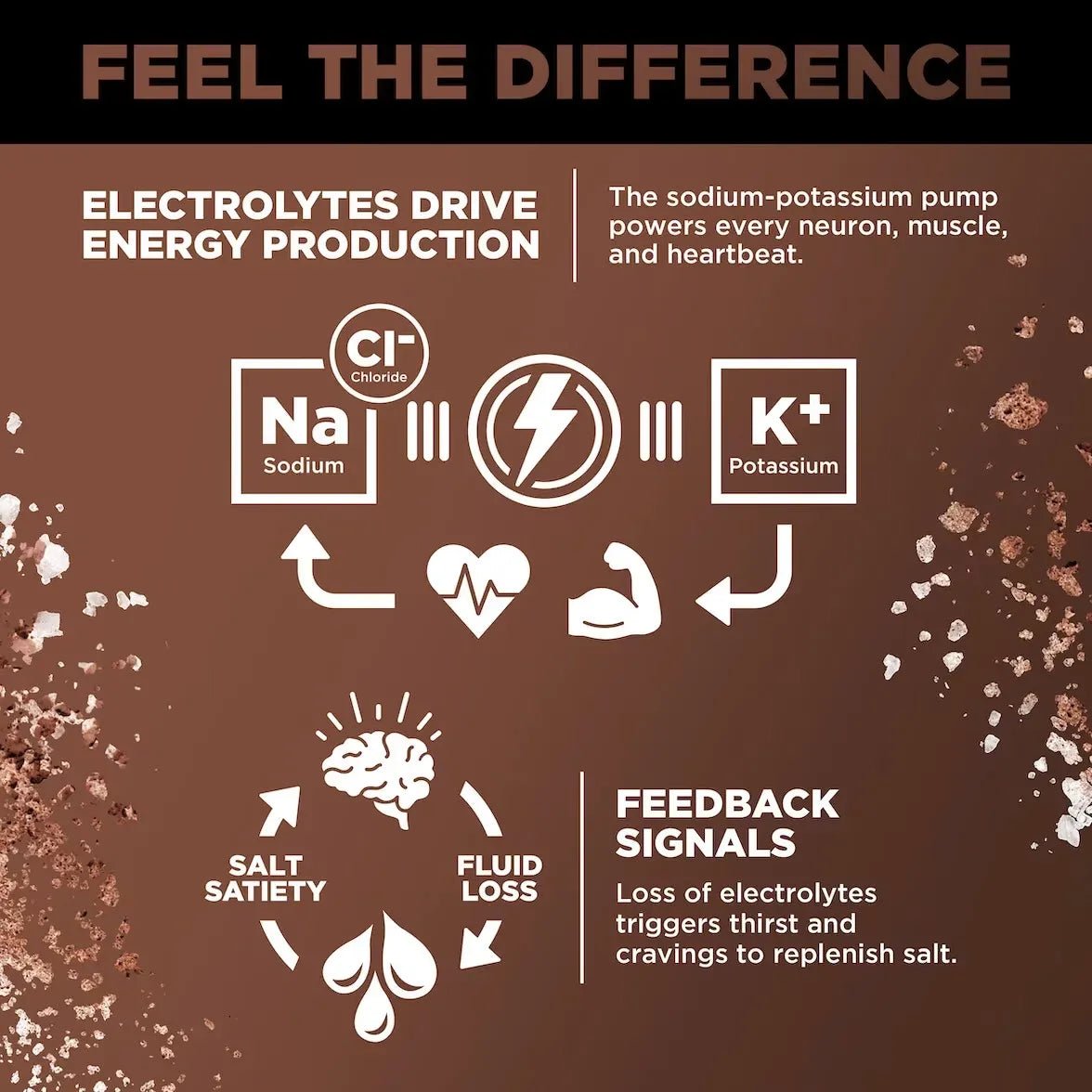 LMNT Chocolate Salt Electrolyte Mix - 30 Sticks