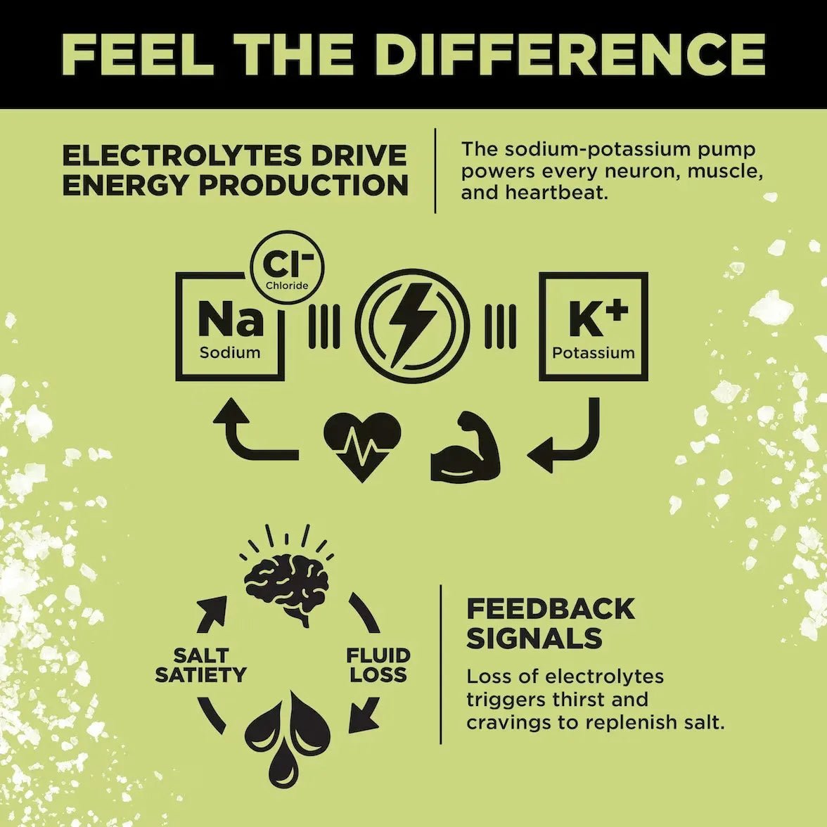 LMNT Citrus Salt Electrolyte Mix - 30 Ct