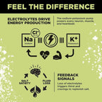 Informational graphic explaining how electrolytes sodium, chloride, and potassium power energy production, muscle, and heart function, linked to salt cravings and fluid loss, for LMNT Citrus Salt Electrolyte Mix - 30 Sticks by LMNT.