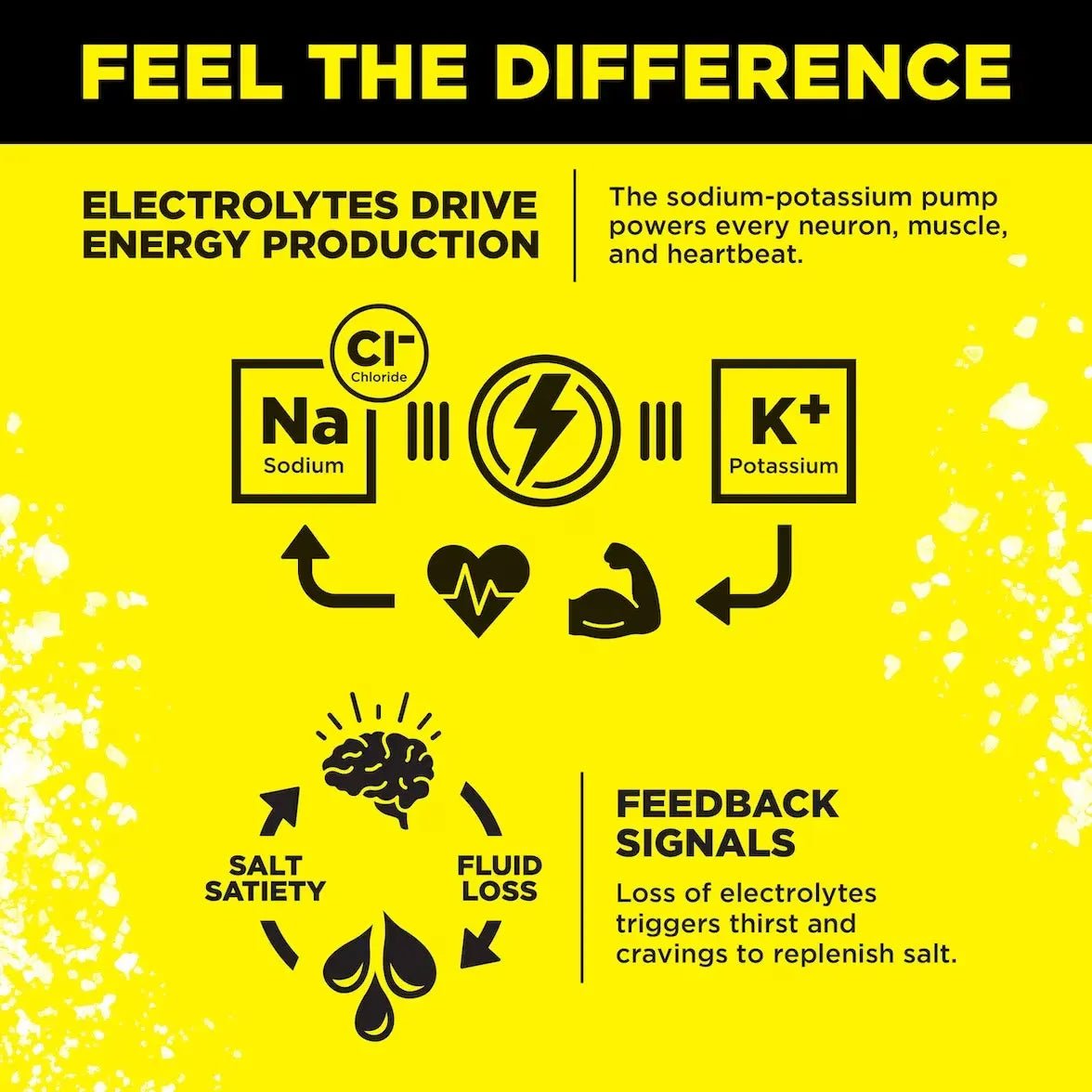 Infographic highlighting how electrolytes sodium, potassium, and chloride boost energy and muscle function plus thirst signals, for LMNT Variety Pack - 12 Sticks by LMNT.