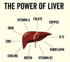 Organic Lamb Liver Capsules - Yo Keto